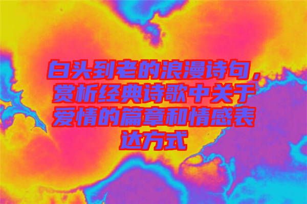 白頭到老的浪漫詩句，賞析經(jīng)典詩歌中關(guān)于愛情的篇章和情感表達(dá)方式