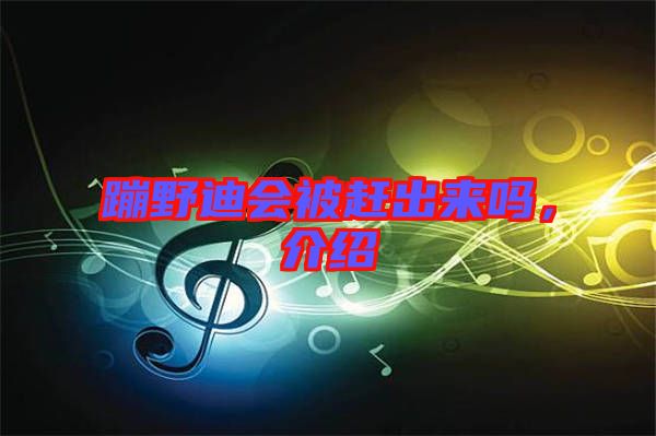 蹦野迪會被趕出來嗎，介紹
