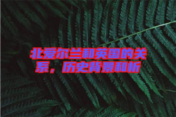 北愛爾蘭和英國的關(guān)系，歷史背景和析