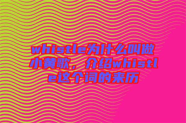 whistle為什么叫做小黃歌，介紹whistle這個(gè)詞的來(lái)歷