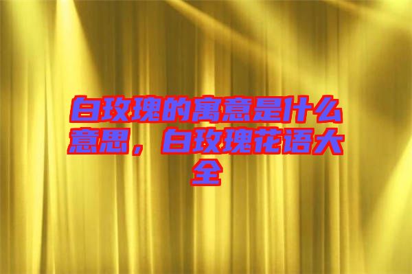 白玫瑰的寓意是什么意思，白玫瑰花語大全