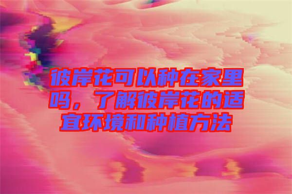 彼岸花可以種在家里嗎，了解彼岸花的適宜環(huán)境和種植方法