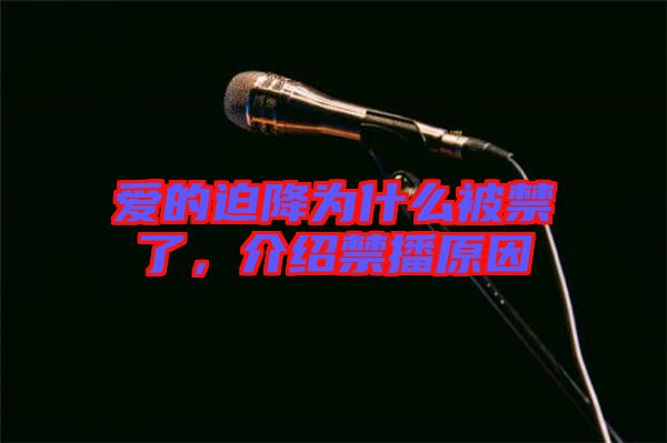 愛的迫降為什么被禁了，介紹禁播原因