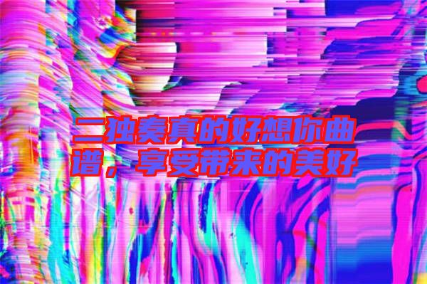 二獨奏真的好想你曲譜，享受帶來的美好