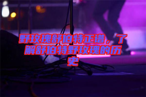 野玫瑰舒伯特正譜，了解舒伯特野玫瑰的歷史