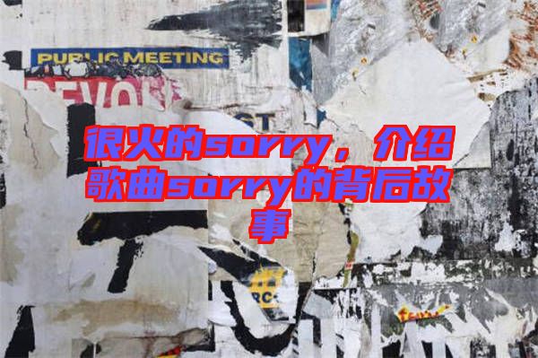 很火的sorry，介紹歌曲sorry的背后故事
