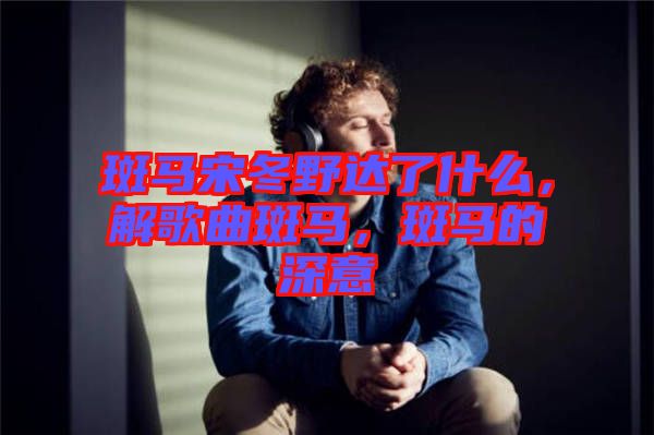 斑馬宋冬野達(dá)了什么，解歌曲斑馬，斑馬的深意