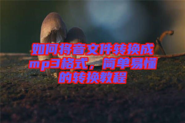 如何將音文件轉(zhuǎn)換成mp3格式，簡(jiǎn)單易懂的轉(zhuǎn)換教程