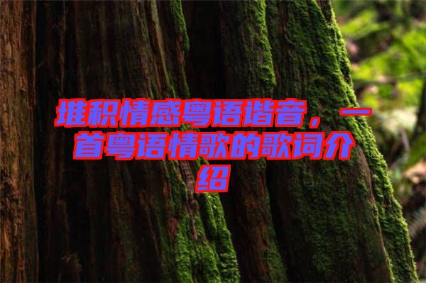 堆積情感粵語(yǔ)諧音，一首粵語(yǔ)情歌的歌詞介紹