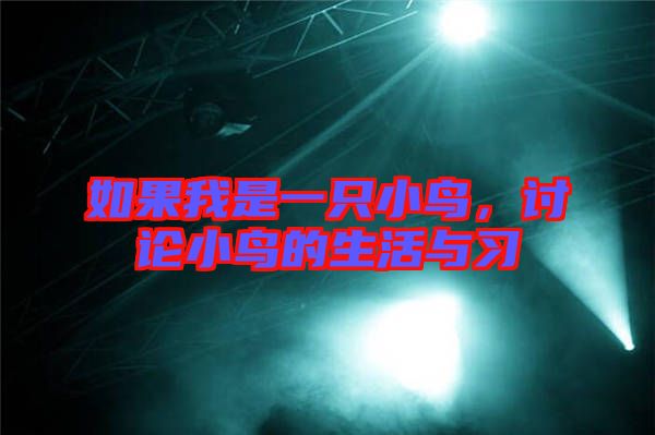 如果我是一只小鳥，討論小鳥的生活與習
