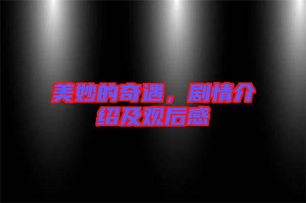 美妙的奇遇，劇情介紹及觀后感