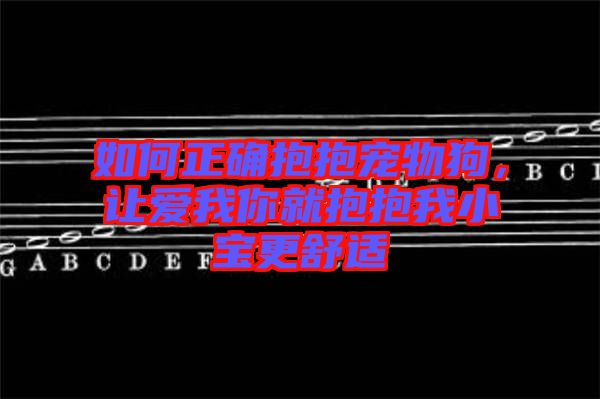 如何正確抱抱寵物狗，讓愛我你就抱抱我小寶更舒適
