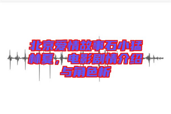 北京愛情故事石小猛林夏，電影劇情介紹與角色析