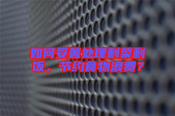 如何妥善處理剩菜剩飯，節(jié)約食物浪費(fèi)？