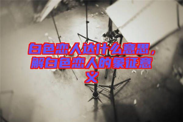 白色戀人達(dá)什么意思，解白色戀人的象征意義