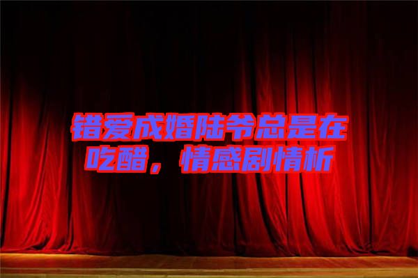 錯愛成婚陸爺總是在吃醋，情感劇情析