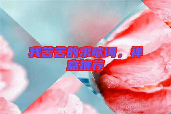 我苦苦的求歌詞，禪意推薦