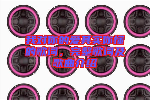 我對你的愛其實你懂的歌詞，完整歌詞及歌曲介紹