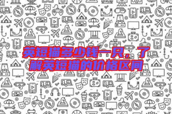 英短貓多少錢一只，了解英短貓的價格區(qū)間