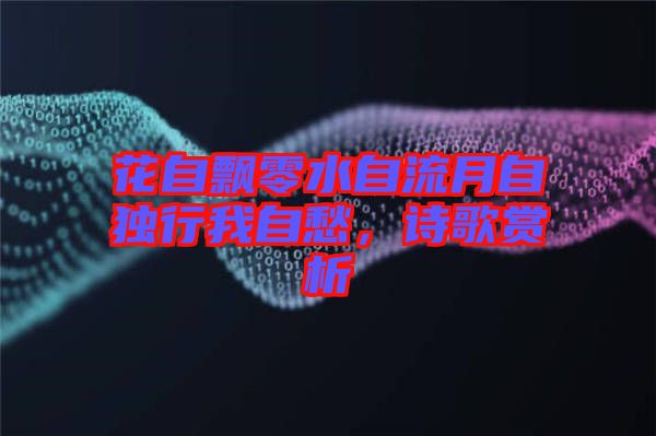 花自飄零水自流月自獨行我自愁，詩歌賞析