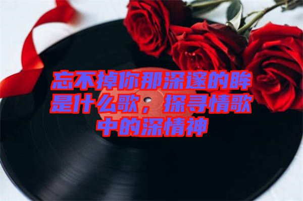 忘不掉你那深邃的眸是什么歌，探尋情歌中的深情神