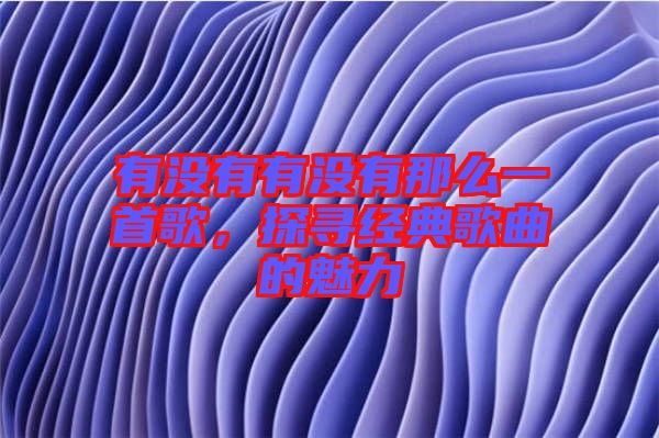 有沒有有沒有那么一首歌，探尋經典歌曲的魅力