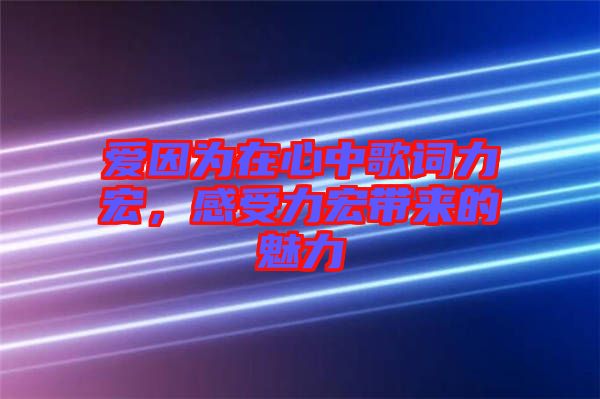 愛因為在心中歌詞力宏，感受力宏帶來的魅力