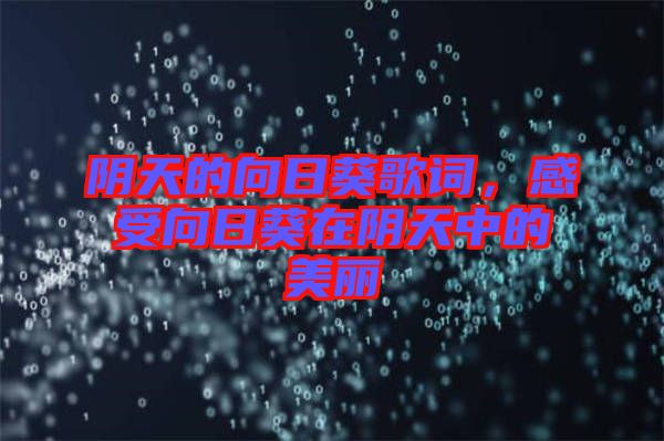 陰天的向日葵歌詞，感受向日葵在陰天中的美麗