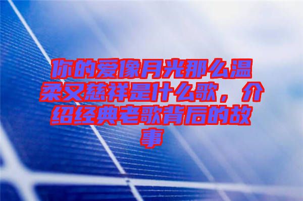 你的愛(ài)像月光那么溫柔又慈祥是什么歌，介紹經(jīng)典老歌背后的故事