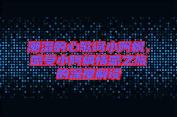 潮濕的心歌詞小阿楓，感受小阿楓情感之旅的深度解讀