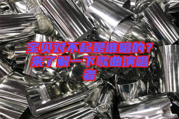 寶貝對不起是誰唱的？來了解一下歌曲演唱者