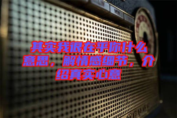 其實(shí)我很在乎你什么意思，解情感細(xì)節(jié)，介紹真實(shí)心意