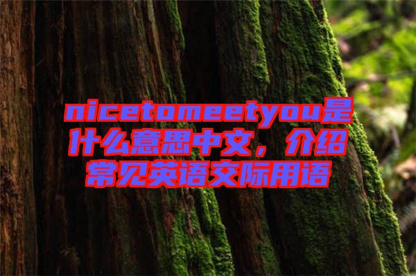 nicetomeetyou是什么意思中文，介紹常見英語(yǔ)交際用語(yǔ)