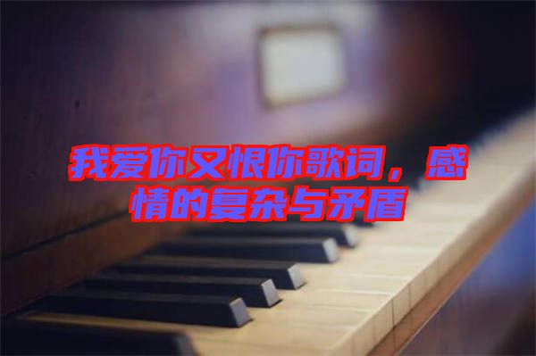 我愛你又恨你歌詞，感情的復(fù)雜與矛盾