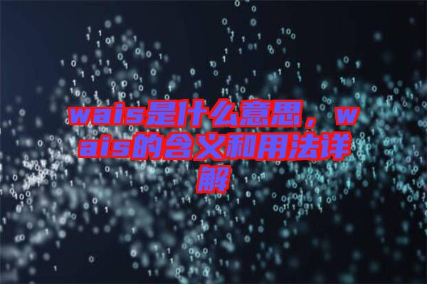 wais是什么意思，wais的含義和用法詳解
