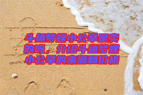 斗魚(yú)夢(mèng)蝶小公舉是賣(mài)的嗎，介紹斗魚(yú)夢(mèng)蝶小公舉的來(lái)源和價(jià)格