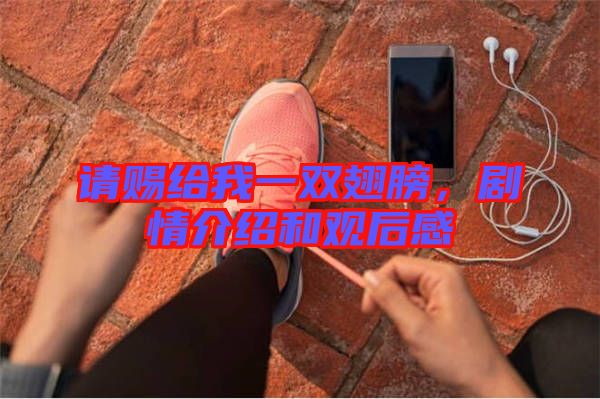 請賜給我一雙翅膀，劇情介紹和觀后感