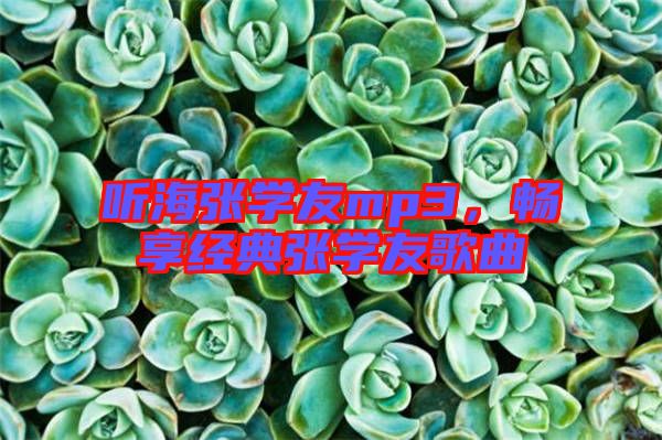 聽海張學友mp3，暢享經(jīng)典張學友歌曲