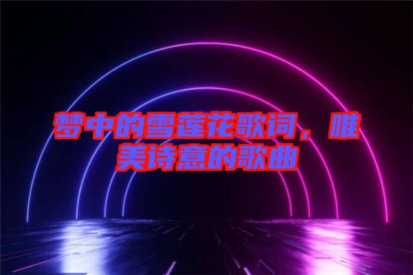 夢(mèng)中的雪蓮花歌詞，唯美詩意的歌曲
