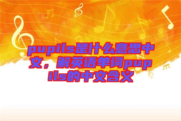 pupils是什么意思中文，解英語(yǔ)單詞pupils的中文含義