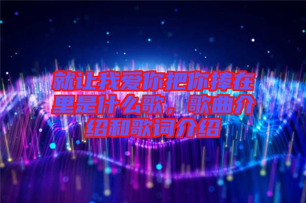 就讓我愛你把你捧在里是什么歌，歌曲介紹和歌詞介紹