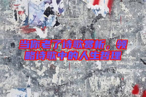 當(dāng)你老了詩歌賞析，領(lǐng)略詩歌中的人生哲理