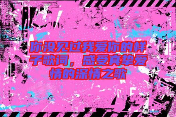 你沒(méi)見(jiàn)過(guò)我愛(ài)你的樣子歌詞，感受真摯愛(ài)情的深情之歌