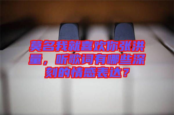 莫名我就喜歡你張洪量，聽歌詞有哪些深刻的情感表達？
