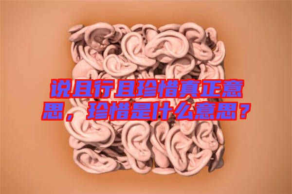 說(shuō)且行且珍惜真正意思，珍惜是什么意思？