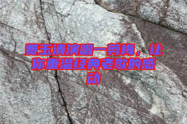 費(fèi)玉清演唱一剪梅，讓你重溫經(jīng)典老歌的感動(dòng)