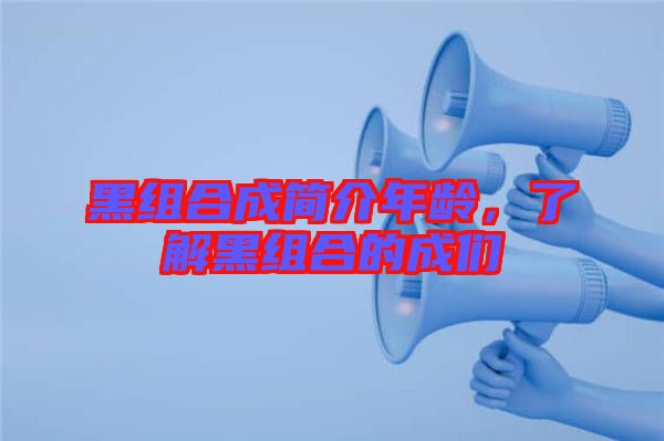 黑組合成簡(jiǎn)介年齡，了解黑組合的成們