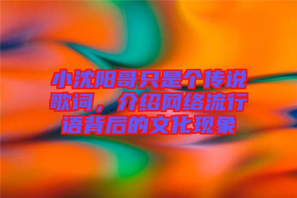 小沈陽哥只是個傳說歌詞，介紹網(wǎng)絡流行語背后的文化現(xiàn)象