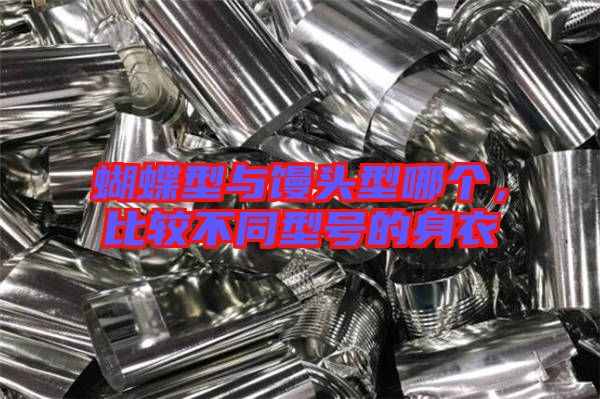 蝴蝶型與饅頭型哪個，比較不同型號的身衣