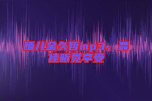 嗑兒金久哲mp3，最佳聽覺享受